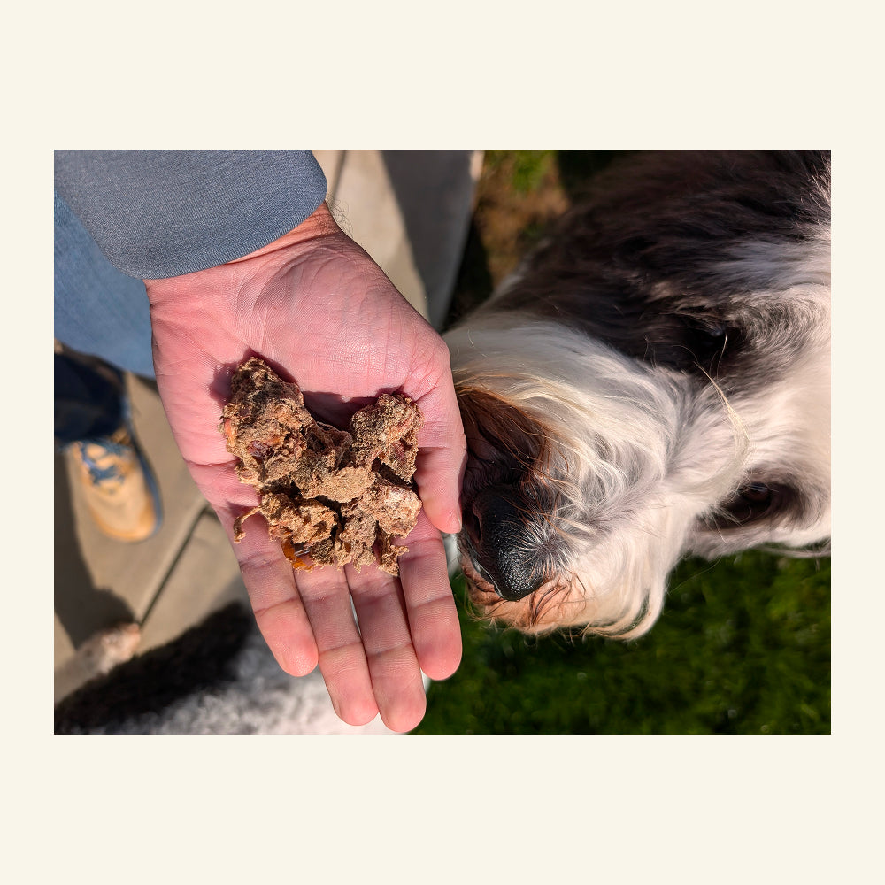 **NEW RELEASE** Cosmo's Trachea & Kidney Raw Food Finisher™ -- Mobility Support!